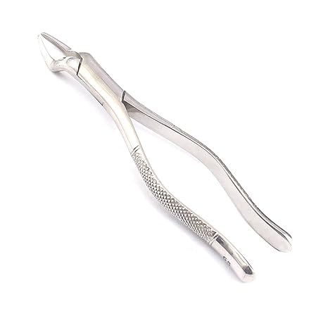 EXTRACTING FORCEPS #53R  GOLD