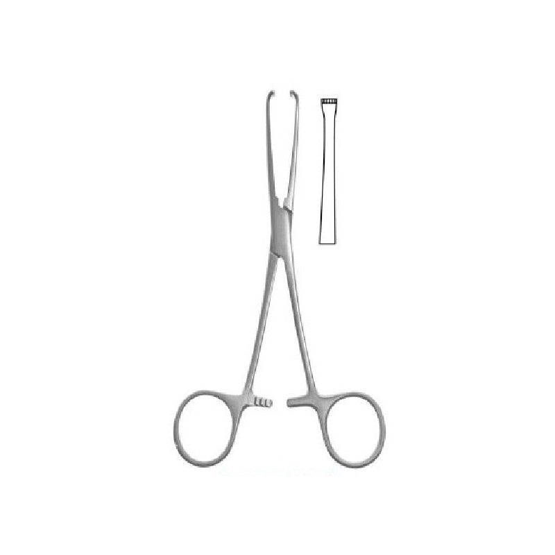 Allis Tissue Forceps