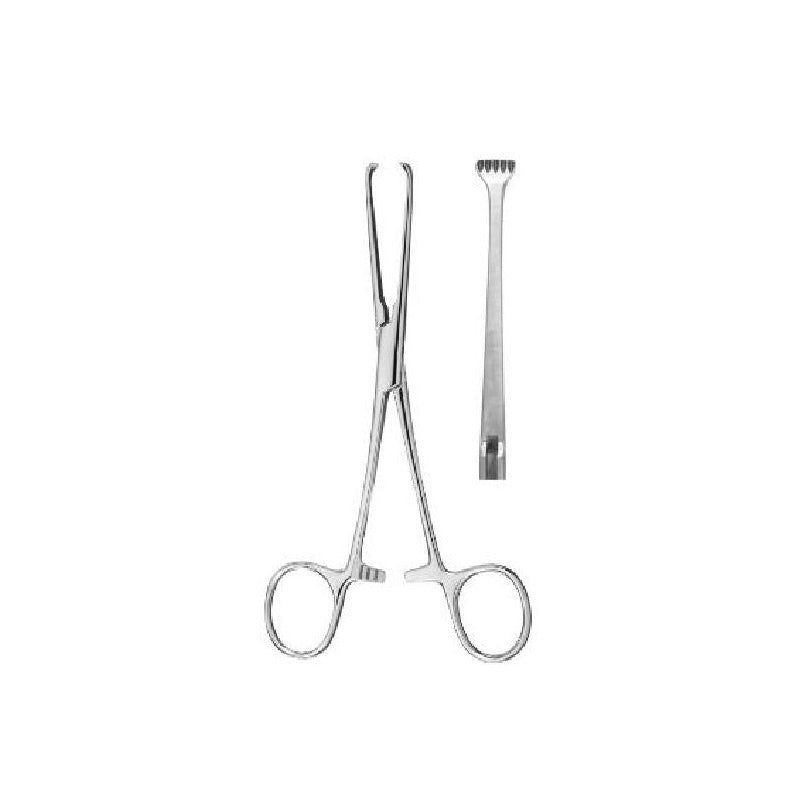 Boys-Allis Tissue Forceps