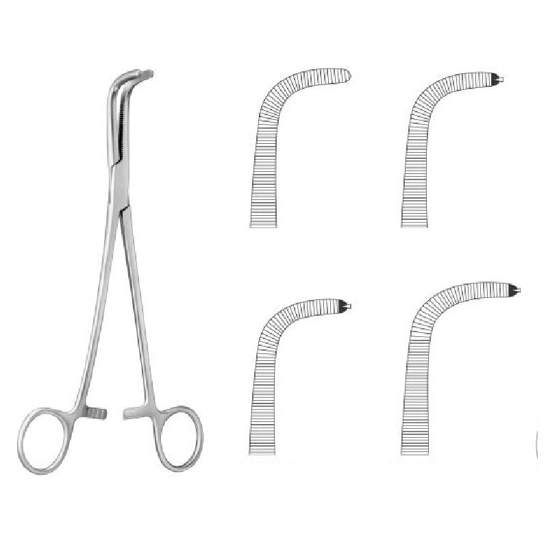 Gray Haemostatic Forceps