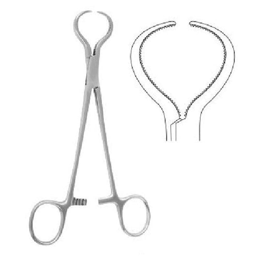 Lewin Perforating Bone Holding Forceps