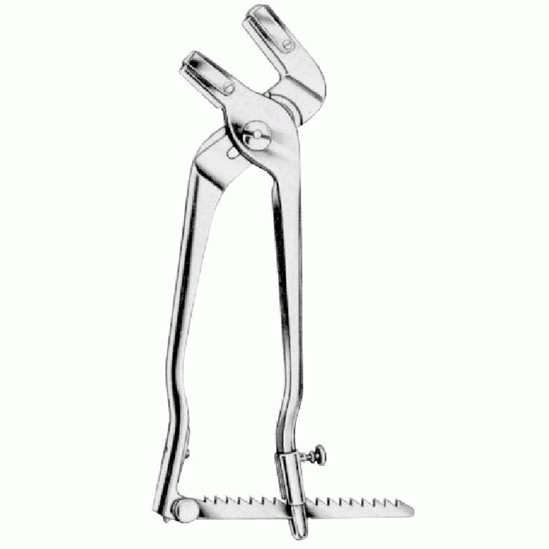 Chamley's Bone Holding Forceps