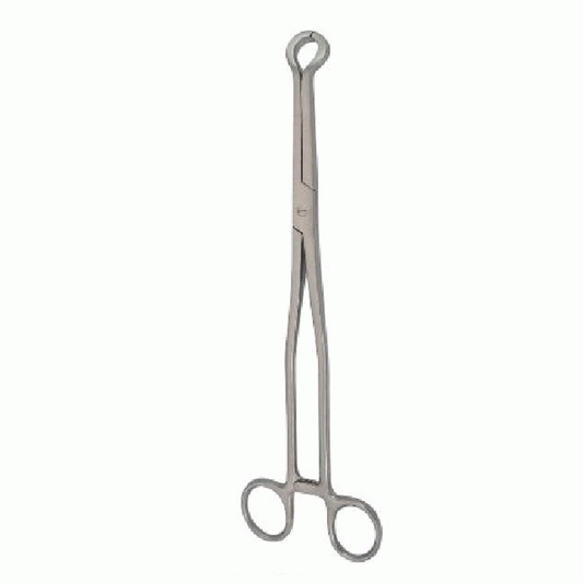 Bone Holding Forceps