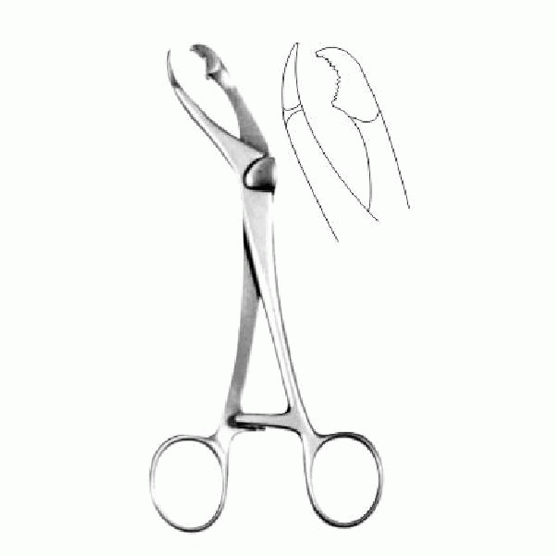 Verbrugge Bone Holding Forceps