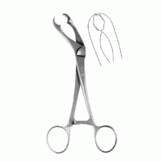 Verbrugge Bone Holding Forceps