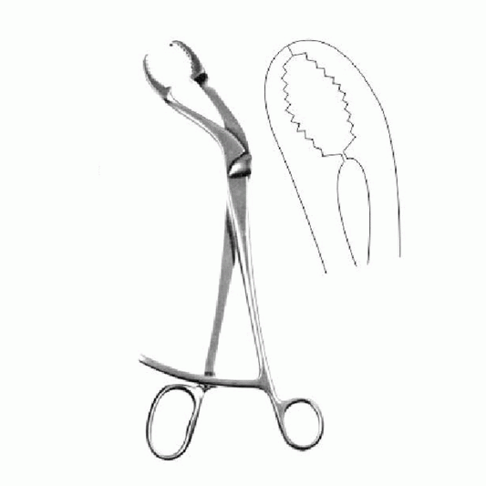 Verbrugge Bone Holding Forceps