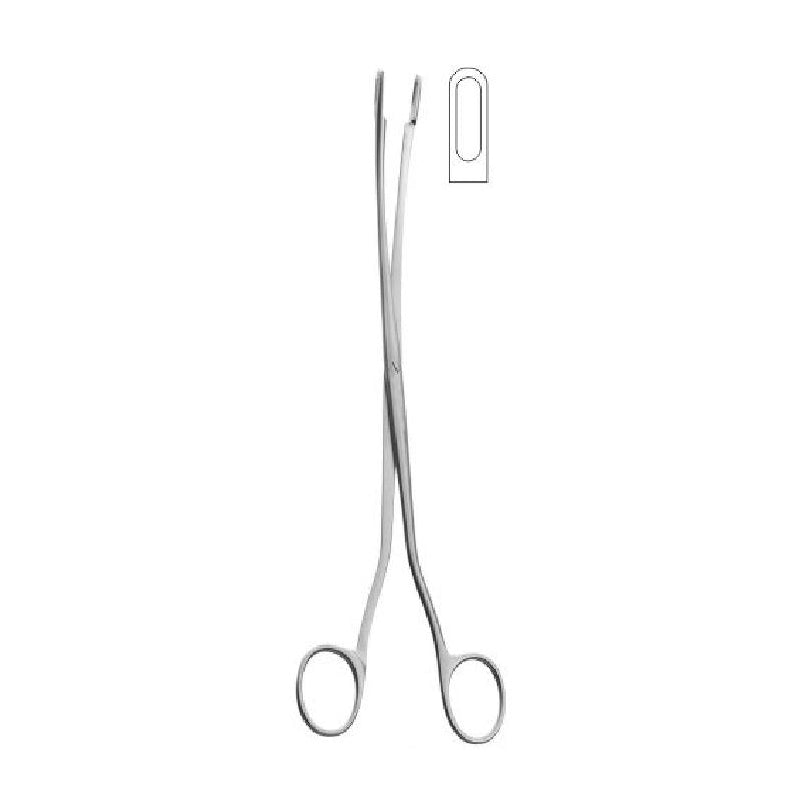 Desjardins Gall Stone Forceps