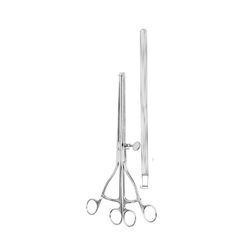 Lane Stomach Intestinal Clamp Forceps