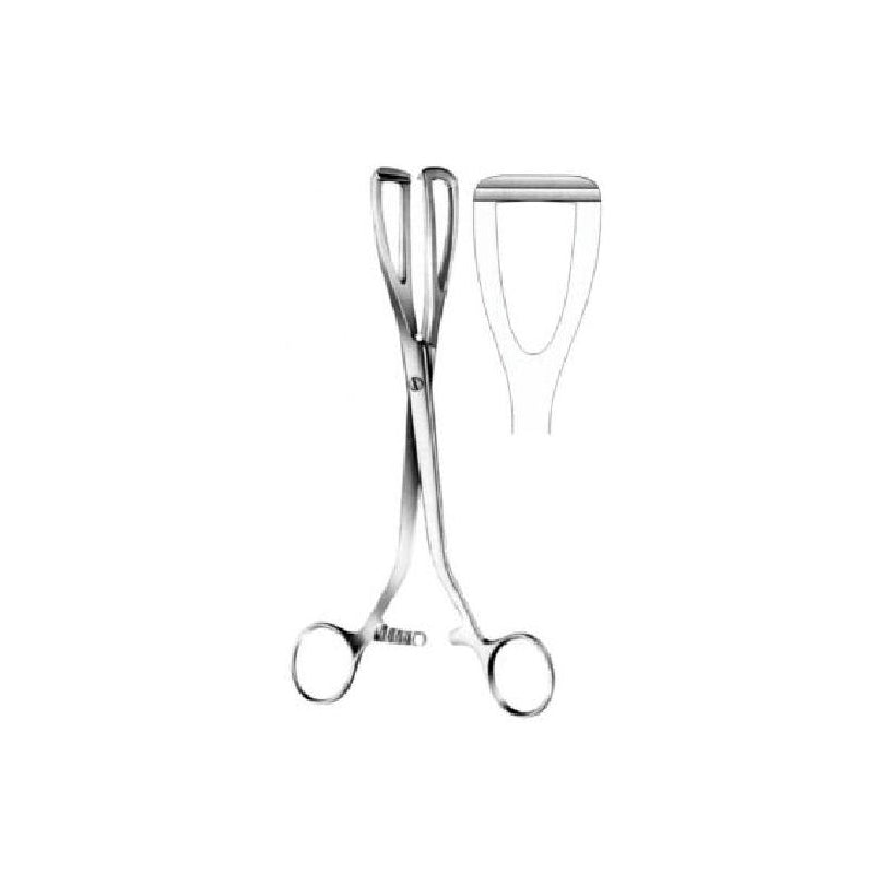 Young Lobe Holding Forceps