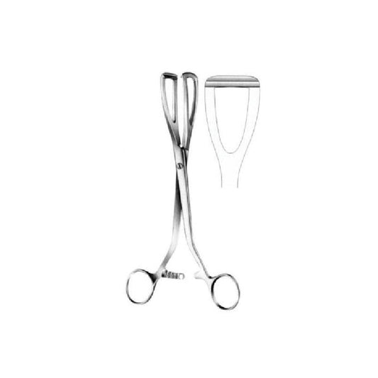 Young Lobe Holding Forceps